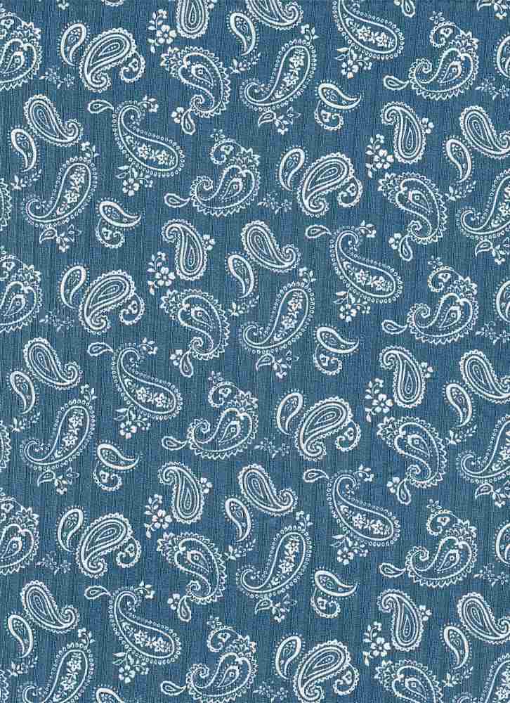 KNT4135-MS01217 / DENIM / 87%POLY 13%SPAN 8X3 YUMMY RIB PAISLEY PRINT