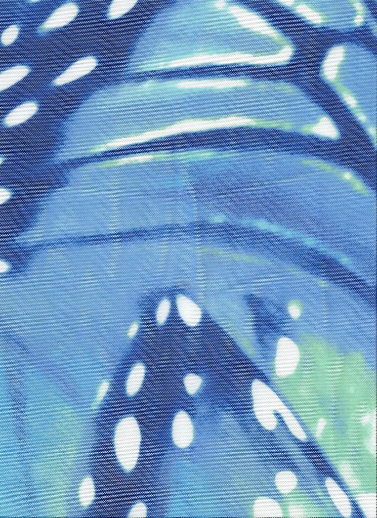 MESH-SE00208D / BLUE / 90%POLY 10%SPAN MESH BUTTERFLY DIGITAL PRINT