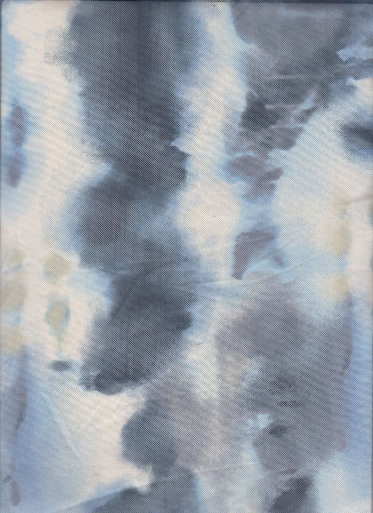 MESH-MS11336 / DENIM / 90%POLY 10%SPAN TIE DYE DIGITAL MESH PRINT