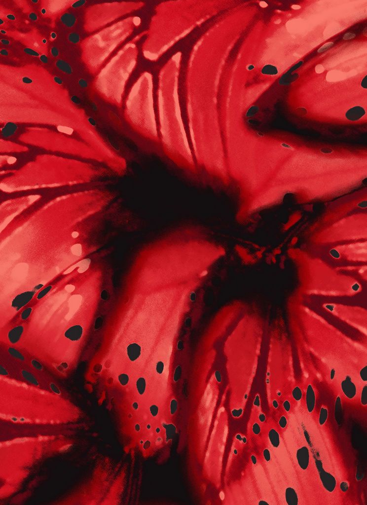 MESH-MS11341 / RED / 94%POLY 6%SPAN DIGITAL MESH BUTTERFLY PRINT