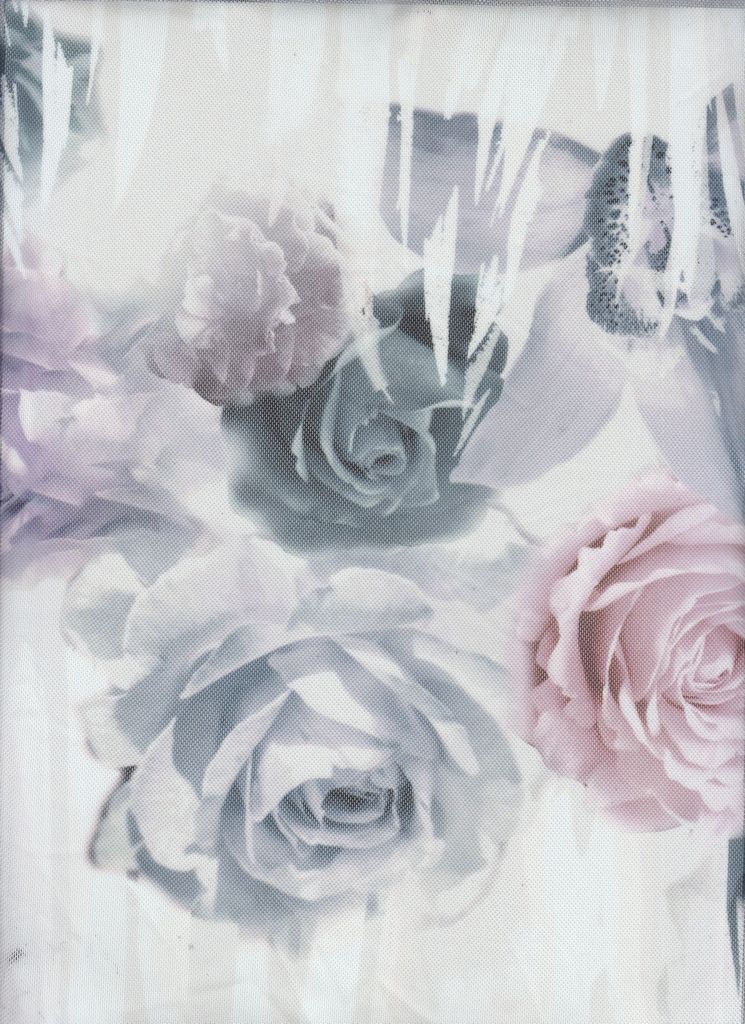MESH-6107PR / IVORY/MULTI / 94%POLY 6%SP MESH DIGITAL ROSE PRINT