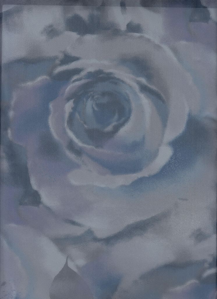 MESH-MS11361 / INDIGO / 94%POLY 6%SPAN DIGITAL MESH ROSE PRINT