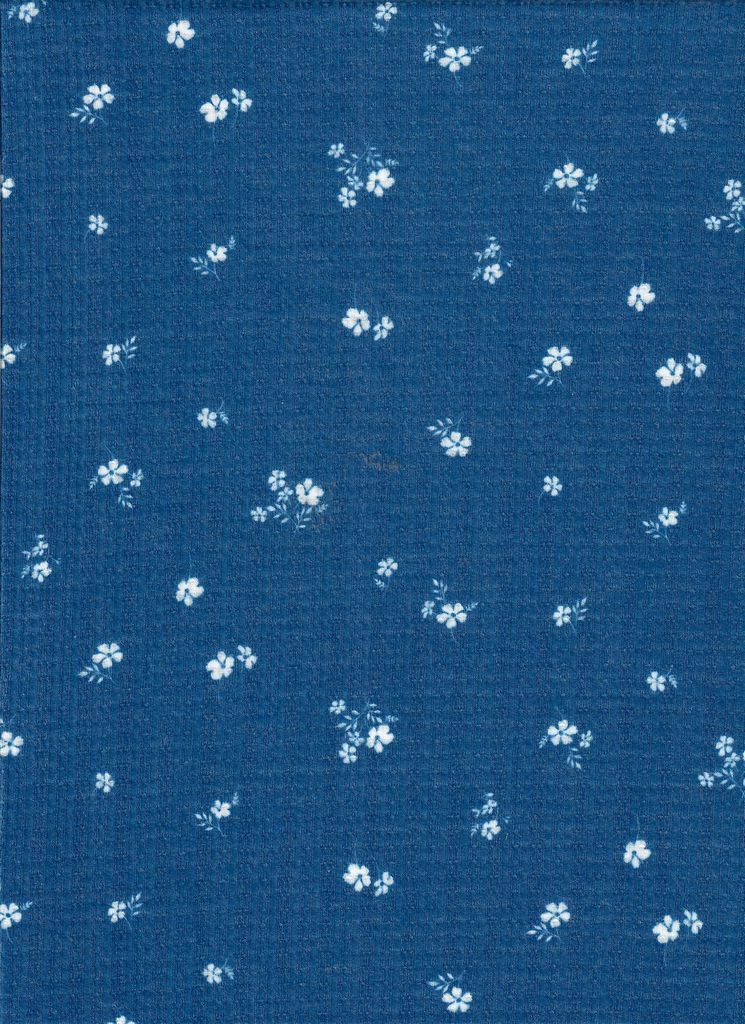 KNT3359-Q00620 / INDIGO / 86%P 9%R 5%S POINTELLE DITSY RIB PRINT