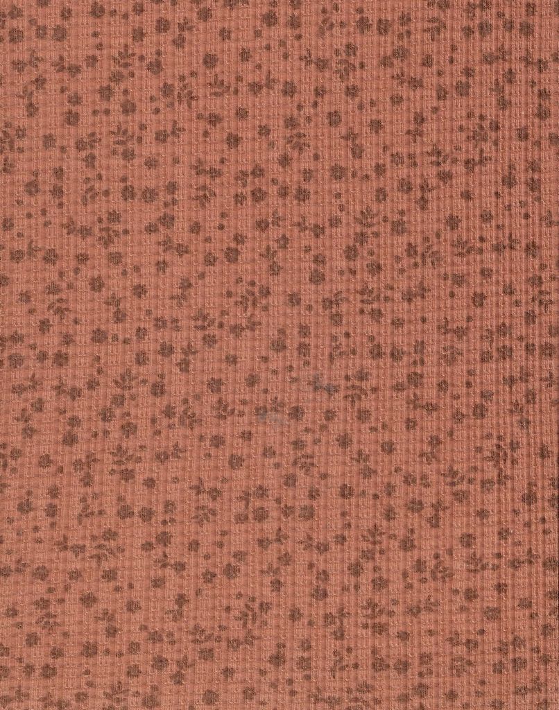 KNT3359-MS00518 / RUST / 86%P 9%R 5%S POINTELLE DITSY RIB PRINT