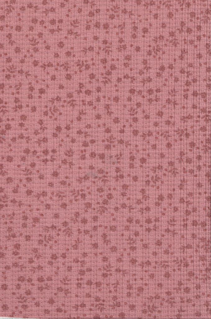 KNT3359-MS00518 / MAUVE / 86%P 9%R 5%S POINTELLE DITSY RIB PRINT
