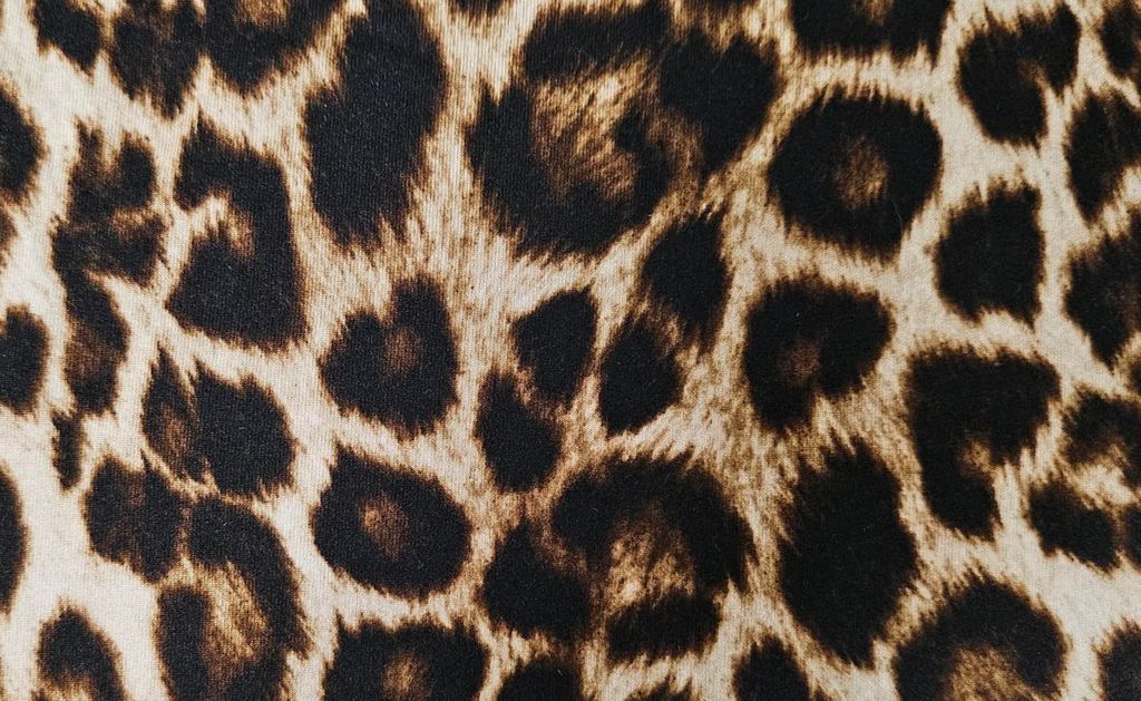 KNT4520-SE20351 / STONE / 96%POLY 4%SPAN DTY BRUSHED ANIMAL PRINT