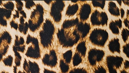 KNT4520-SE20351 / BROWN-B / 96%POLY 4%SPAN DTY BRUSHED ANIMAL PRINT