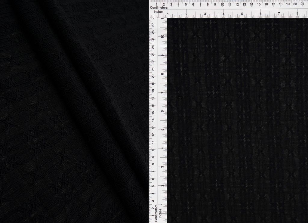 LACE4631 / BLACK / 95%NYLON 5%ELASTANE STRIPE LACE