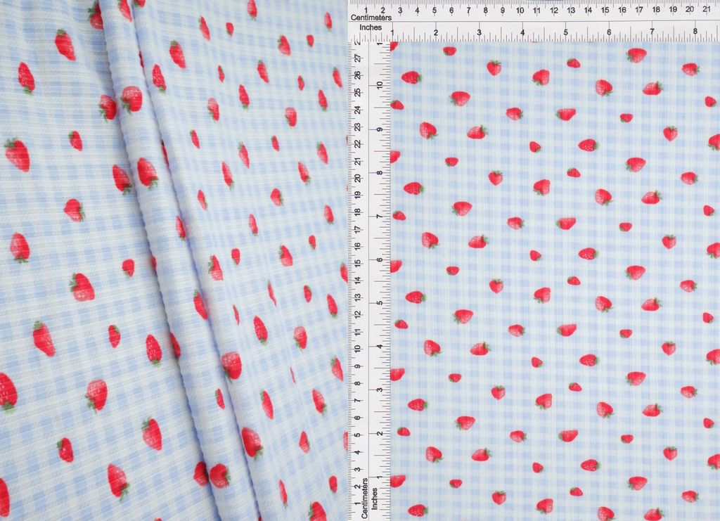 KNT3422-MS11494 / BLUE LT. / 97%POLY 3%SPAN 4X2 YUMMY RIB STRAWBERRY PRINT