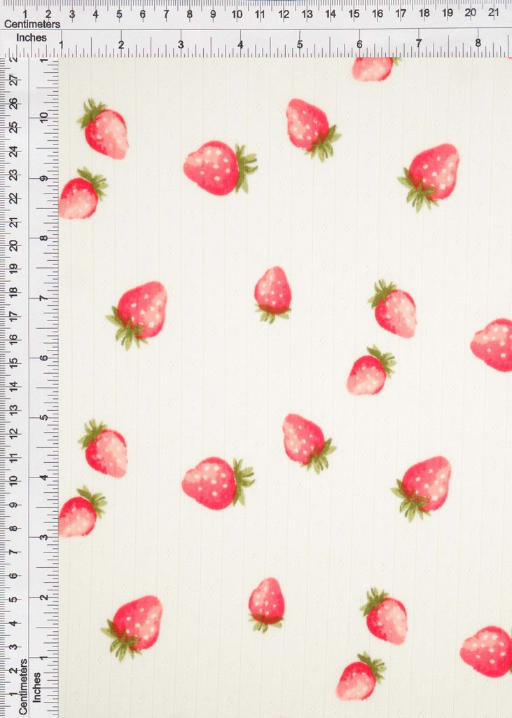 KNT4622-MS11480 / IVORY/RED / 93%P 7%SP COTTON STYLE POINTELLE STRAWBERRY PRINT