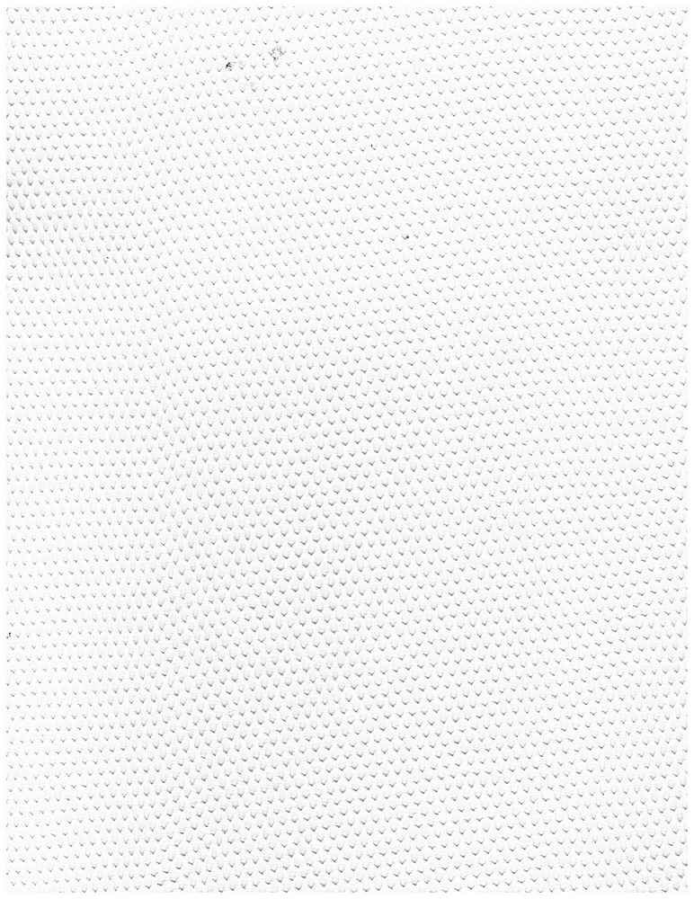 MESH-3000 / IVORY / 100%NYLON MESH P/D