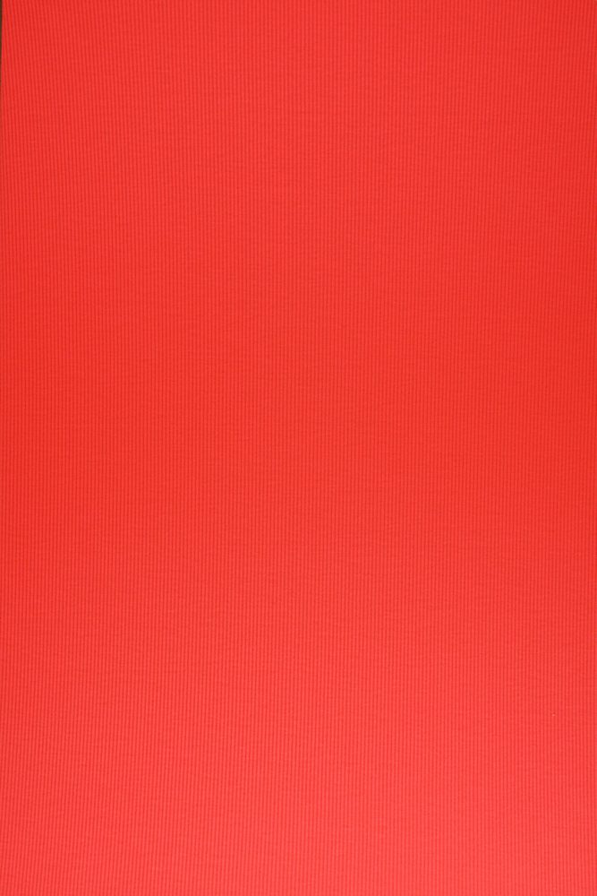 KNT3895 / NEON ORANGE / 96%POLY 4%SPAN RIB 2X1 SOLID
