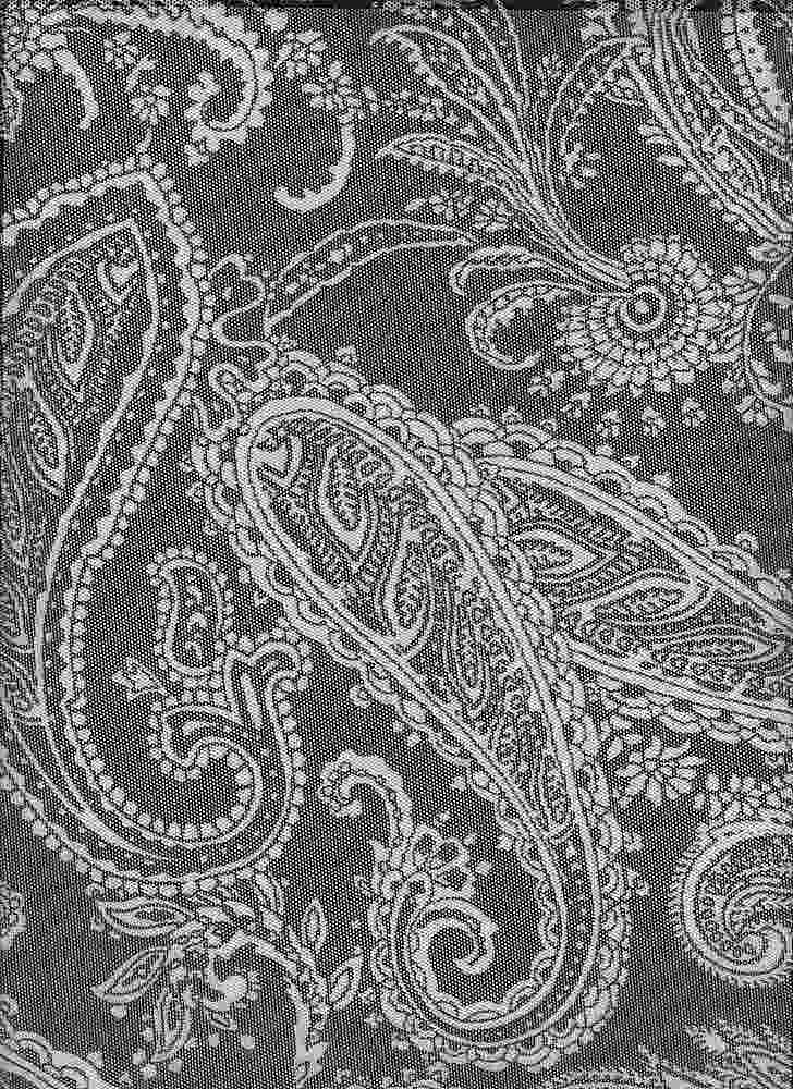 MESH4122-S70470 / BLACK/WHITE / 97%POLY 3%SPAN MESH PAISLEY PRINT